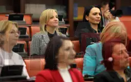 пратенички - политичарки